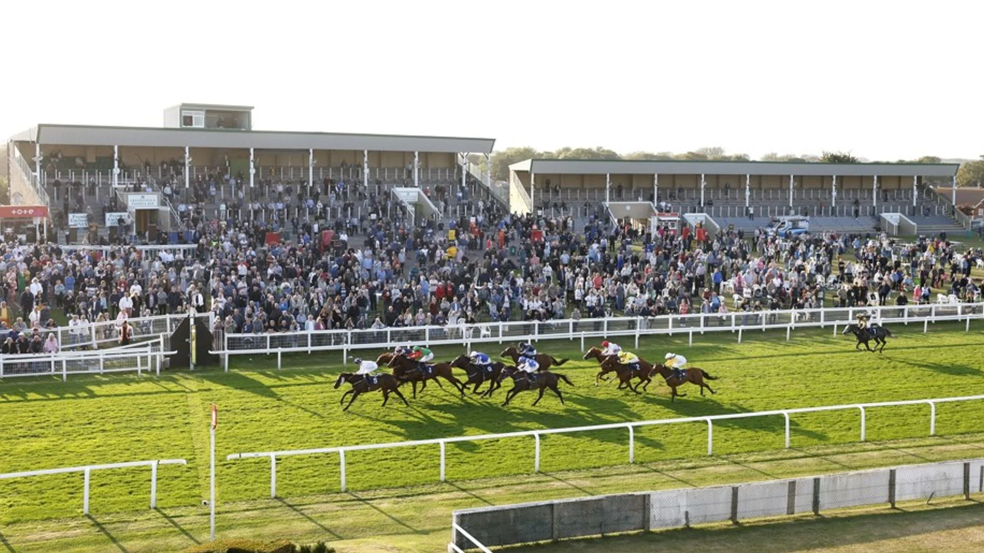 Racing Highlights: Deep Havana and Pilu to Compete in Yarmouth's Feature Event